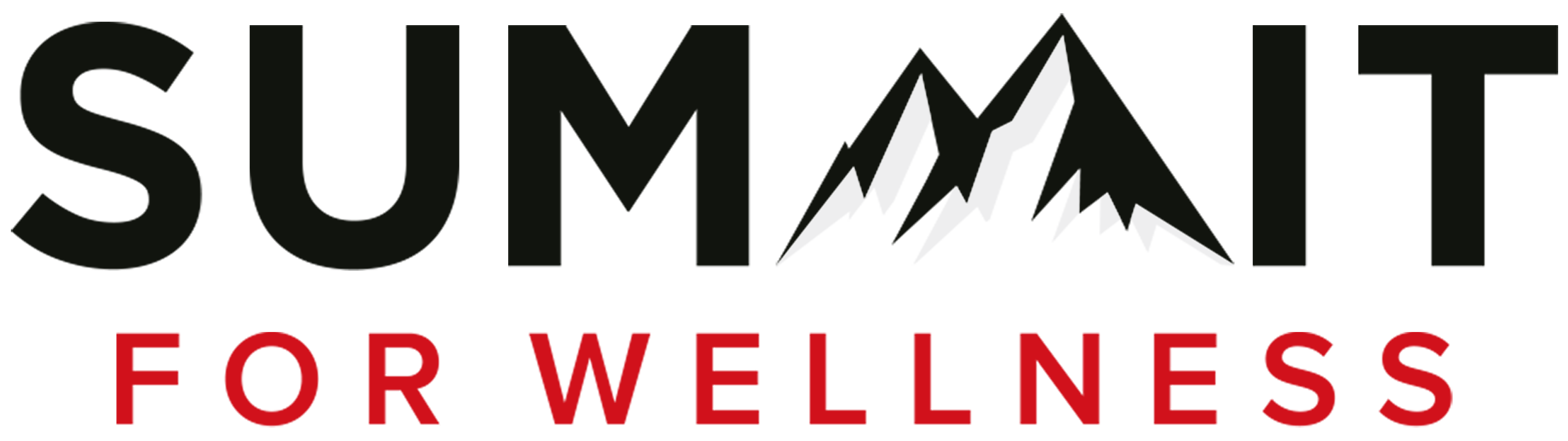 Summit For Wellness Store