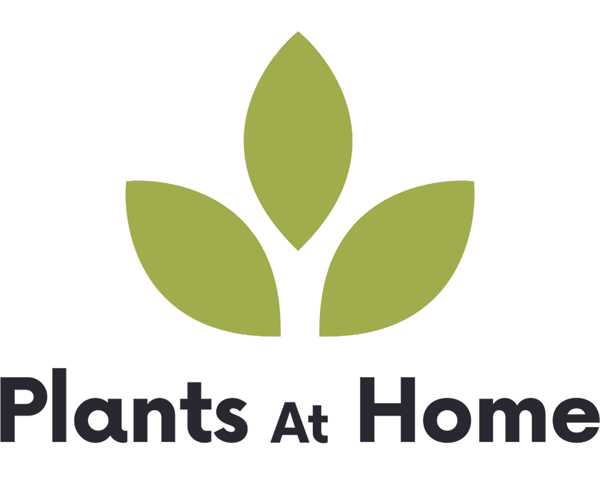 Plants At Home