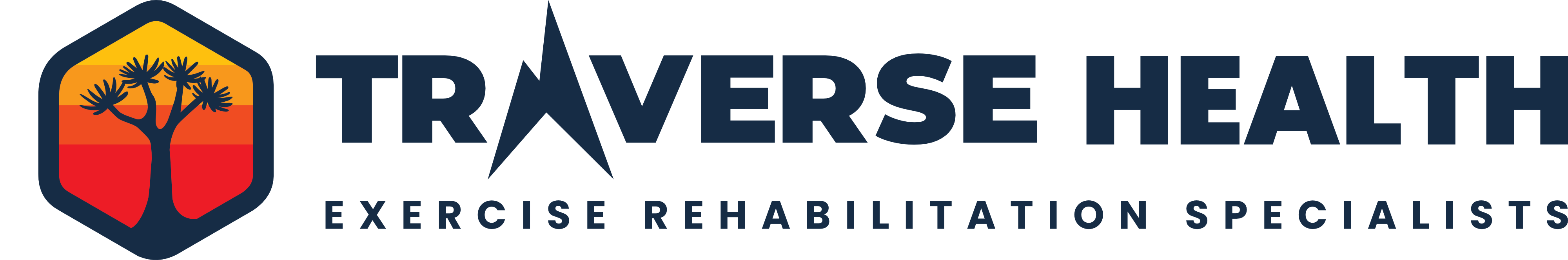 Traverse Health