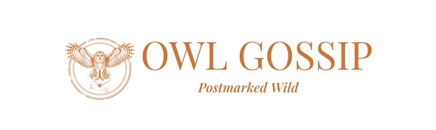 Owl Gossip