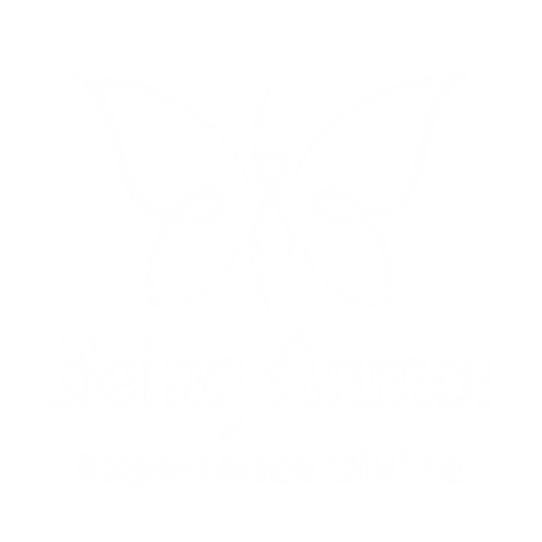 Being Anmol