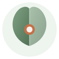 Site web WordPress pour coachs et thérapeutes | CreasiteWP"