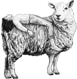 sciencesheep®