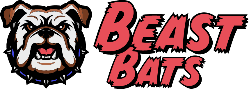 Custom Baseball Bats & More | Unleash The Beast