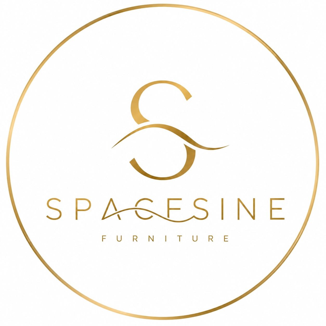 Spacesine