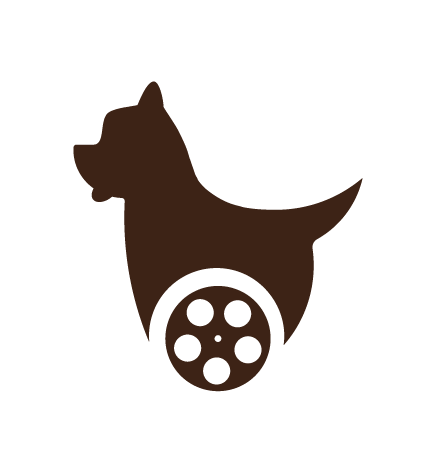 Willow Films - Video production company in Mexico City