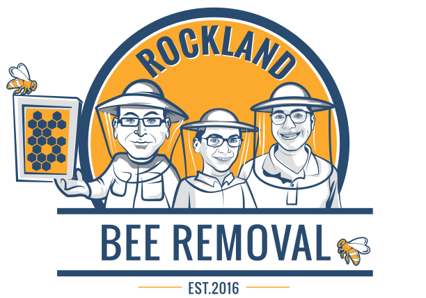 Yddrmvxrmij3r2i0o1cqn9v8lua4