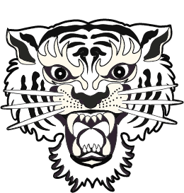 Tiger Tattoo Supplies Torquay Devon